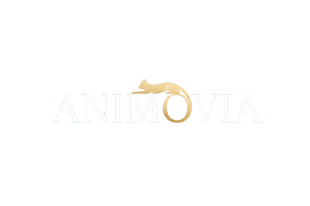 Animovia